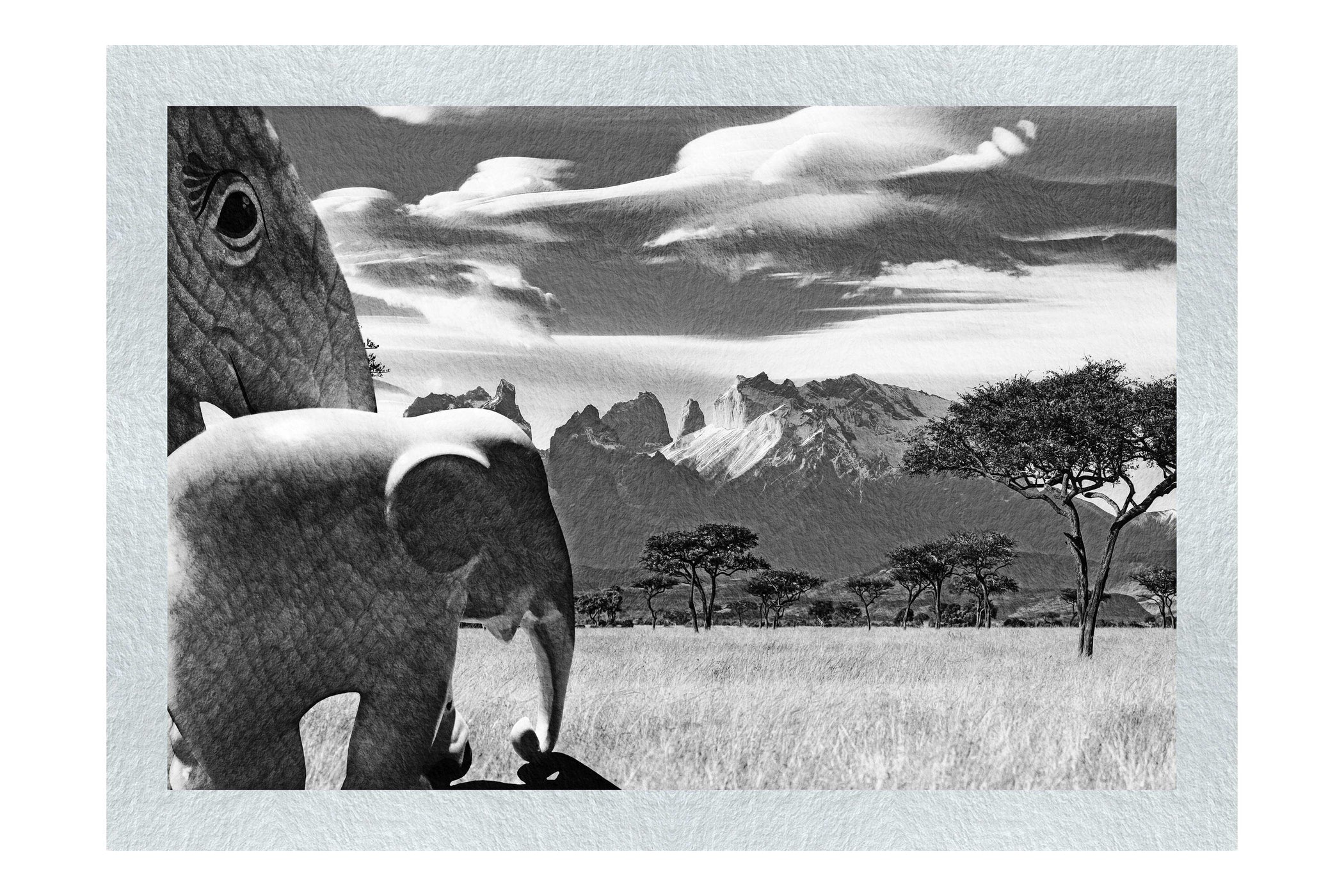 Surreal Elephant Landscape - Monochrome Fine Art Print - Rare Edition Category