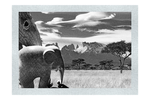 Surreal Elephant Landscape - Monochrome Fine Art Print - Rare Edition Category