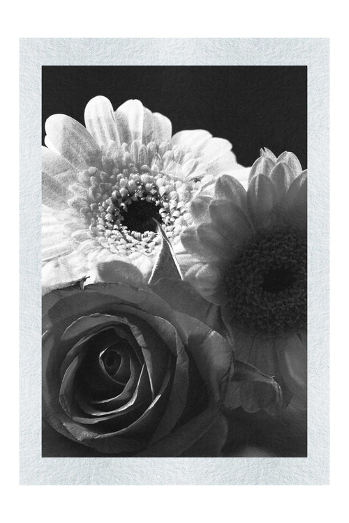 Floral Harmony - Monochrome Fine Art Print - Flowers & Plants Category