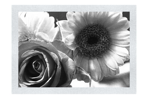 Radiant Blooms: Rose and Gerbera Harmony - Monochrome Fine Art Print - Flowers & Plants Category