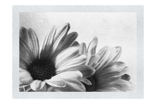 Twin Yellow Flowers - Monochrome Fine Art Print - Flowers & Plants Category