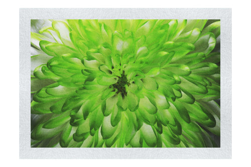 Wholesome Green Plant - Fine Art Print - Flowers & Plants Category