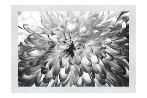 Wholesome Green Plant - Monochrome Fine Art Print - Flowers & Plants Category