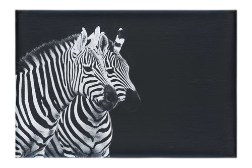 Curious Zebras - Canvas Print - Wildlife Category