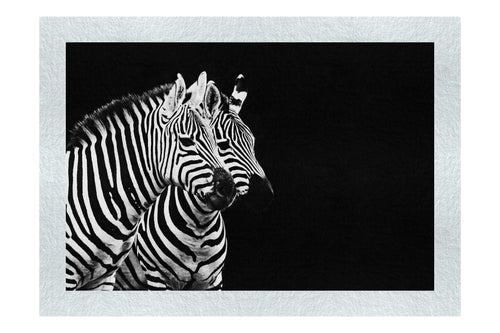 Curious Zebras - Monochrome Fine Art Print - Wildlife Category