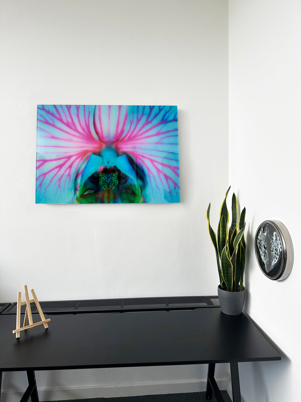 Acrylic Prints