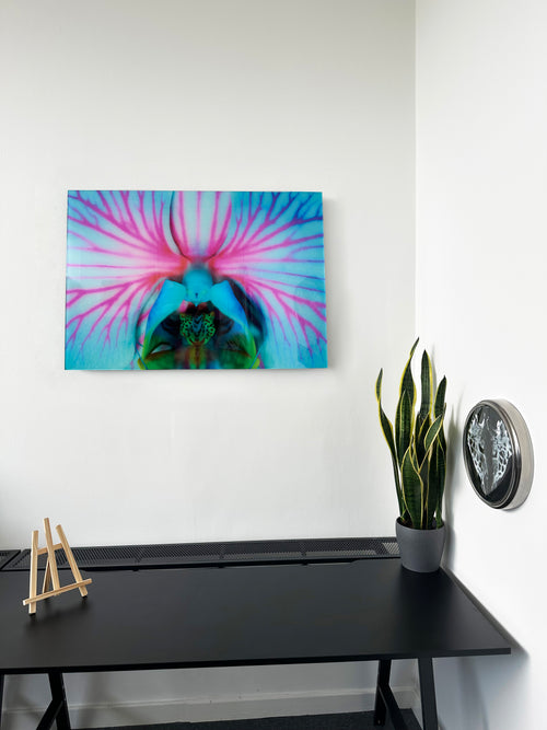 Acrylic Prints