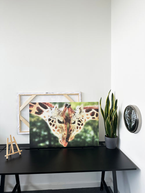 Canvas Prints