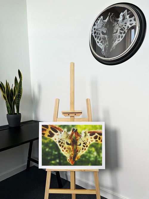 Fine Art Prints