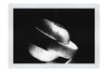 Verdant Spiral Apple Slice - Monochrome Fine Art Print - Food Art Category