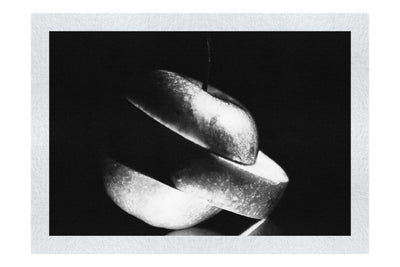 Verdant Spiral Apple Slice - Monochrome Fine Art Print - Food Art Category