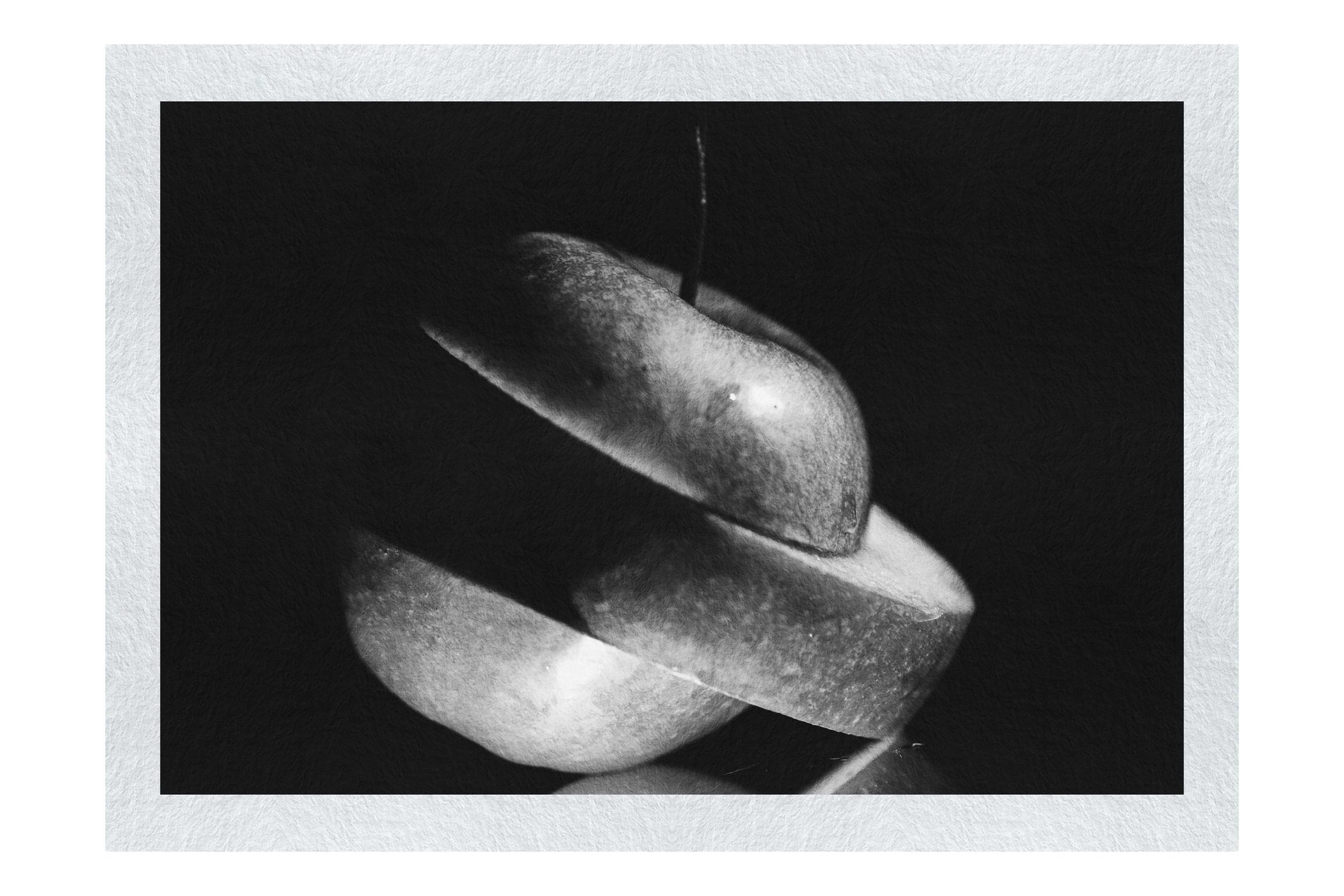 Verdant Spiral Apple Slice - Monochrome Fine Art Print - Food Art Category
