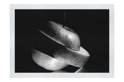 Verdant Spiral Apple Slice - Monochrome Fine Art Print - Food Art Category