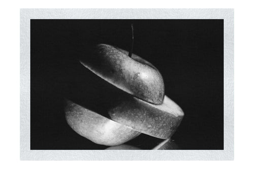 Verdant Spiral Apple Slice - Monochrome Fine Art Print - Food Art Category