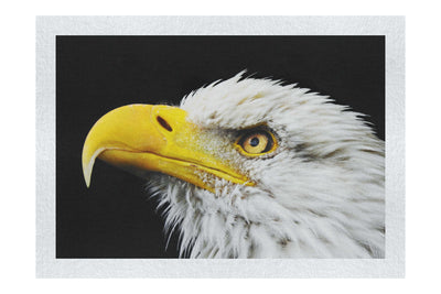 American Bald Eagle Side Profile - Fine Art Print - Wildlife Category