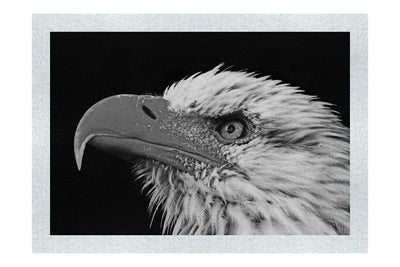 American Bald Eagle Side Profile - Monochrome Fine Art Print - Wildlife Category