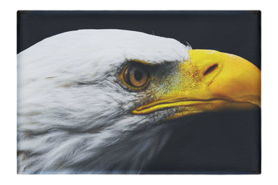 American Bald Eagle Left Side Profile - Canvas Print - Wildlife Category