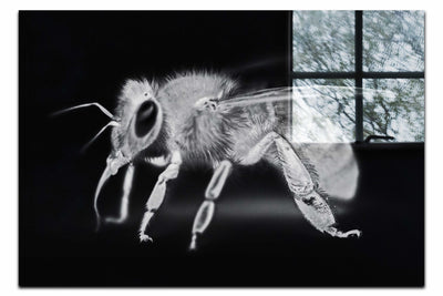 Bee in Monochrome Black - Acrylic Print - Wildlife Category