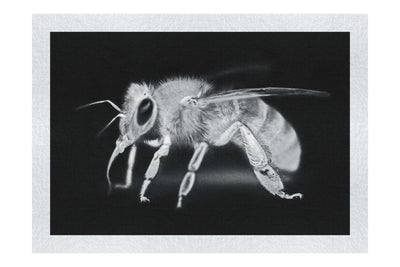Bee in Monochrome Black - Fine Art Print - Wildlife Category