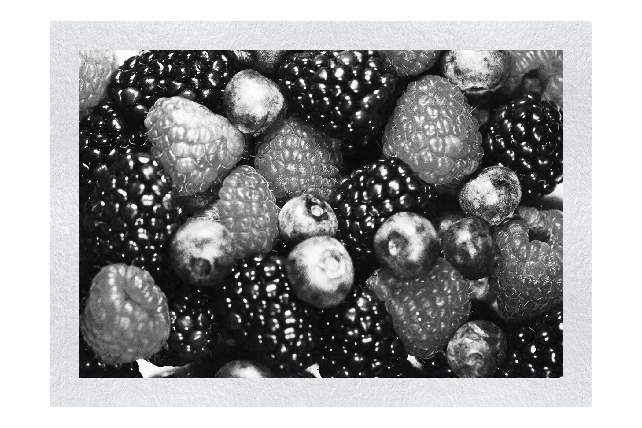 Berry Medley: Nature's Bounty - Monochrome Fine Art Print - Food Art Category