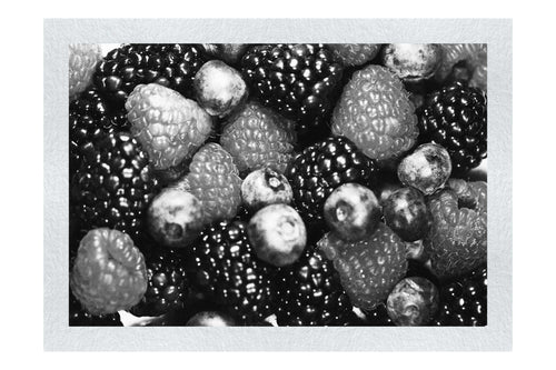 Berry Medley: Nature's Bounty - Monochrome Fine Art Print - Food Art Category