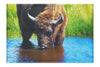 Bison At The Watering Hole II - Canvas Print - Wildlife Category