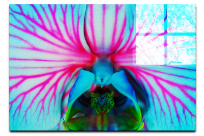 Electric Orchid - Acrylic Print - Flowers & Plants Category