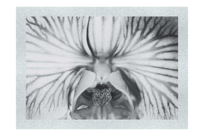 Electric Orchid - Monochrome Fine Art Print - Flowers & Plants Category