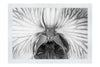 Electric Orchid - Monochrome Fine Art Print - Flowers & Plants Category
