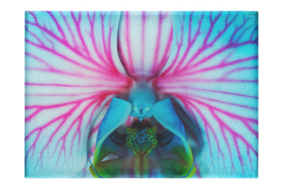 Electric Orchid - Canvas Print - Flowers & Plants Category