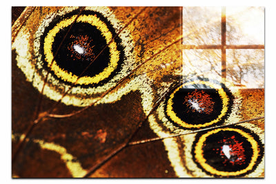 Butterfly Wing - Acrylic Print - Rare Edition Category