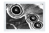 Butterfly Wing - Monochrome Fine Art Print - Rare Edition Category