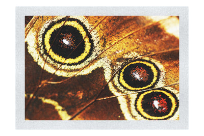 Butterfly Wing - Fine Art Print - Rare Edition Category