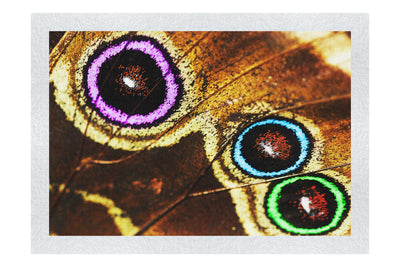 Butterfly Wings Macro Colours - Fine Art Print - Rare Edition Category