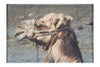 A Beast of Burden - Canvas Print - Wildlife Category