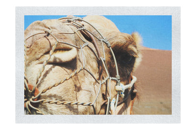 A Beast of Burden Close-up - Fine Art Print - Wildlife Category