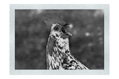 Surprised Hen - Monochrome Fine Art Print - Wildlife Category