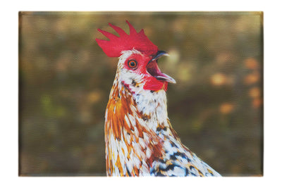 Surprised Hen - Canvas Print - Wildlife Category