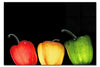 Coloured Peppers - Acrylic Print - Food Art Category
