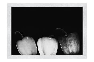 Coloured Peppers - Monochrome Fine Art Print - Food Art Category