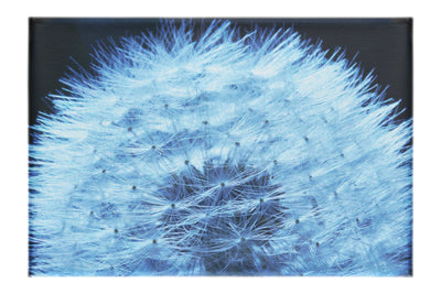Blue Dandelion - Canvas Print - Flowers & Plants Category
