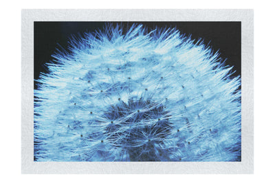 Blue Dandelion - Fine Art Print - Flowers & Plants Category