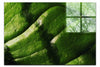 Emerald Textures: Leaf in Detail - Acrylic Print - Abstract Category
