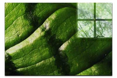 Emerald Textures: Leaf in Detail - Acrylic Print - Abstract Category