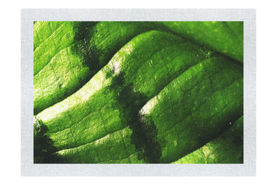 Emerald Textures: Leaf in Detail - Fine Art Print - Abstract Category