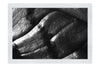 Emerald Textures: Leaf in Detail - Monochrome Fine Art Print - Abstract Category
