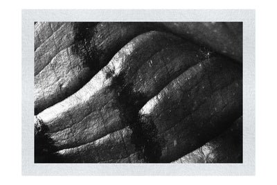 Emerald Textures: Leaf in Detail - Monochrome Fine Art Print - Abstract Category