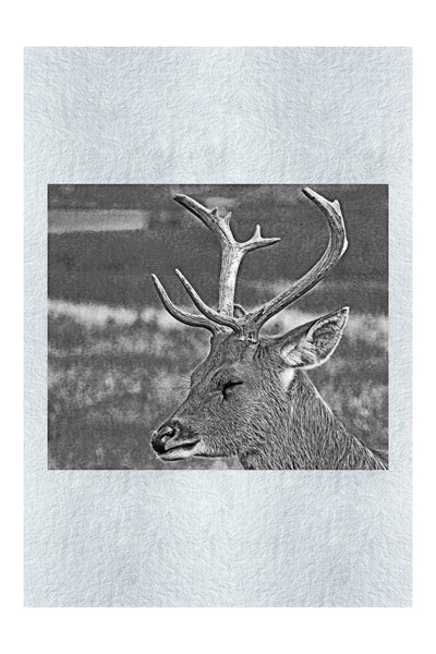 Spring Deer - Monochrome Fine Art Print - Wildlife Category