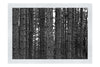 Dove Dale Trees - Monochrome Fine Art Print - Flowers & Plants Category