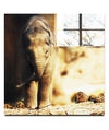 Baby Elephant - Acrylic Print - Wildlife Category